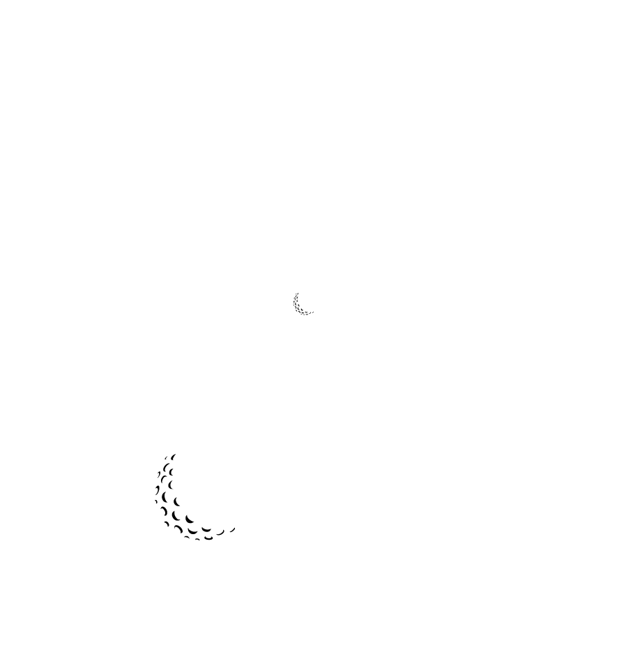 logo light